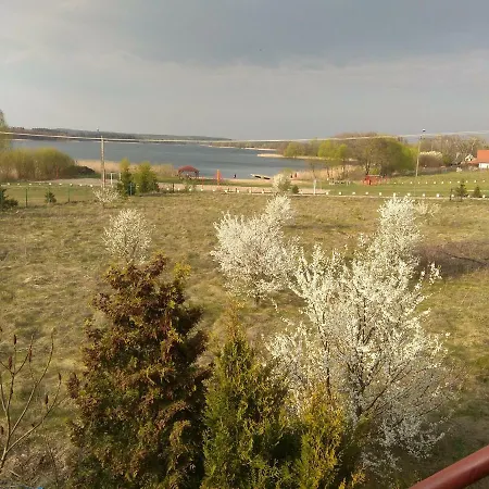 U Alicji * 帕瑟姆